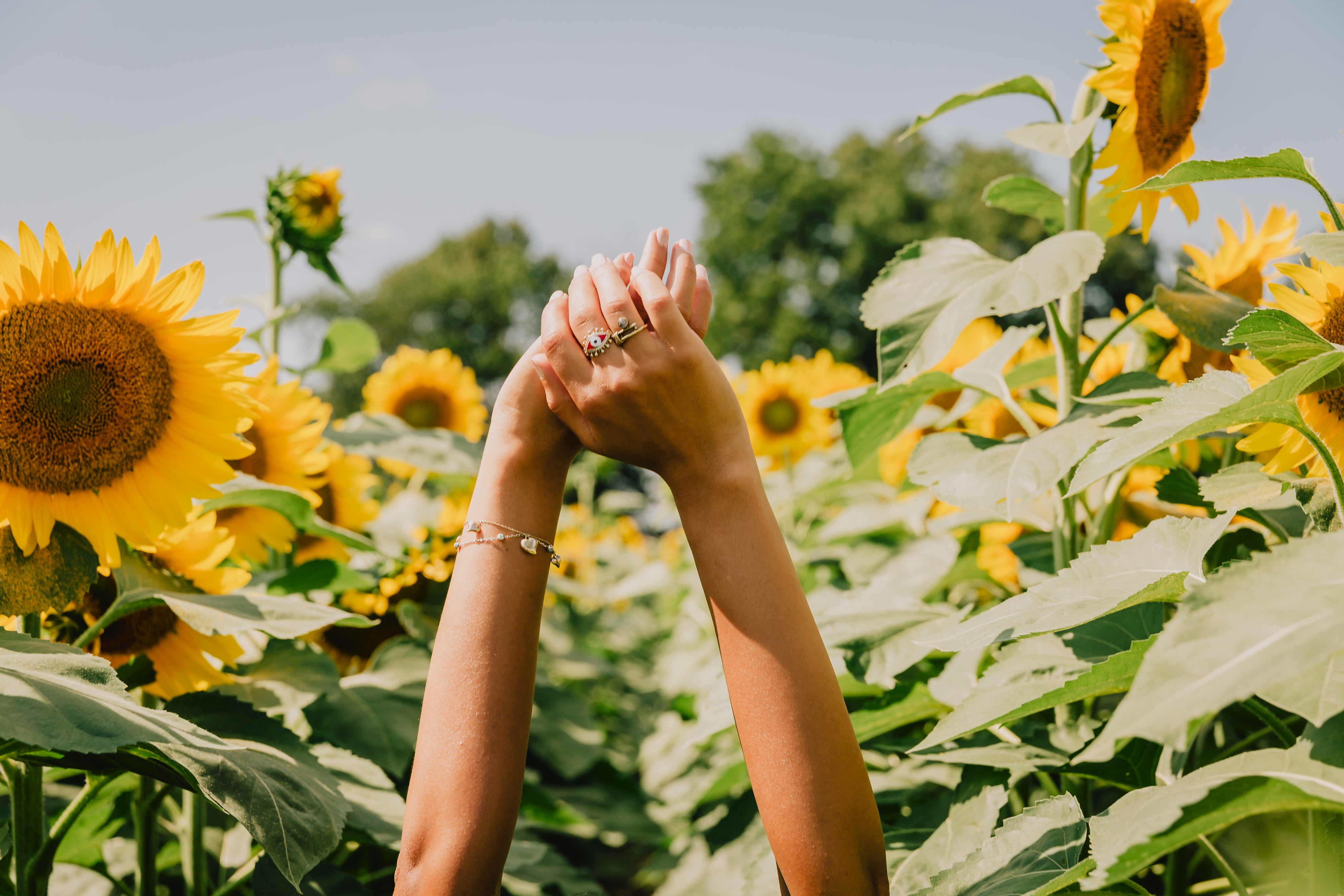 hands-reach-high-in-a-sunflower-field.jpg