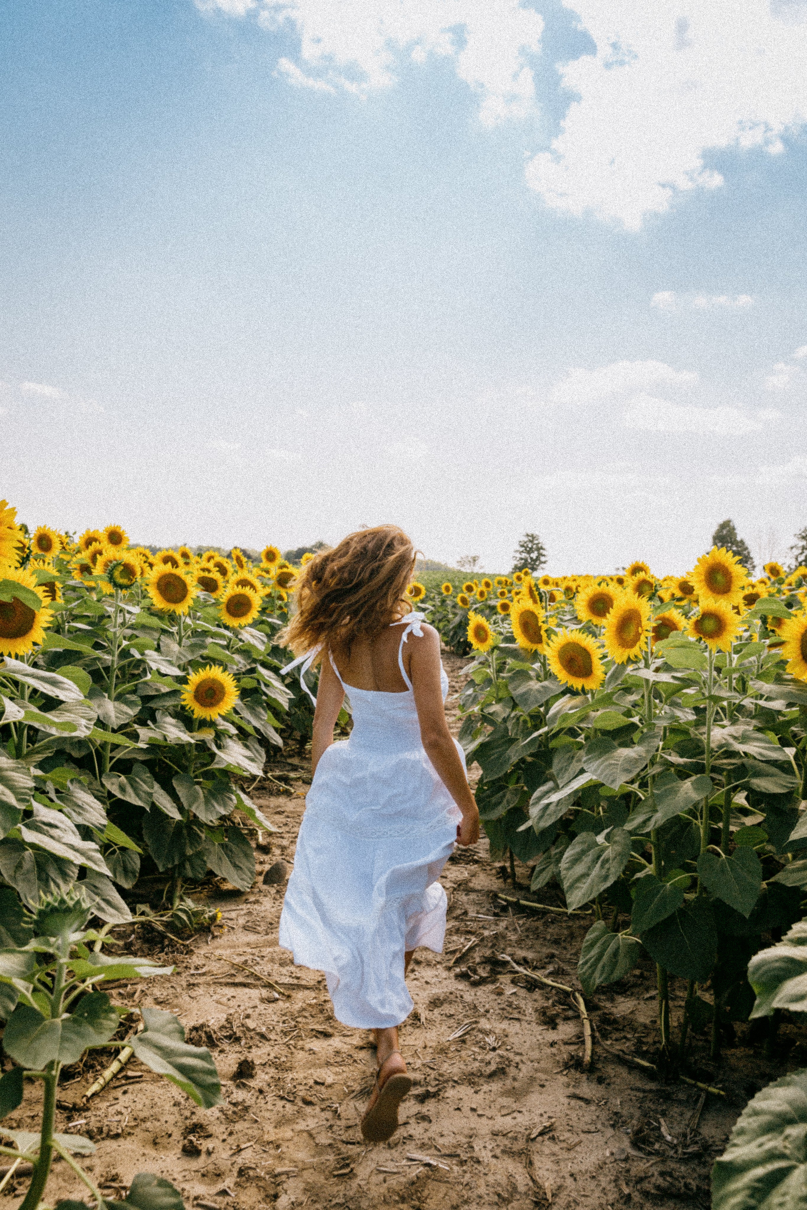 person-skips-in-a-sunny-sunflower-field.jpg