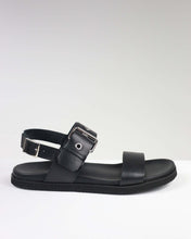 Morea black