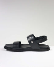 Morea black